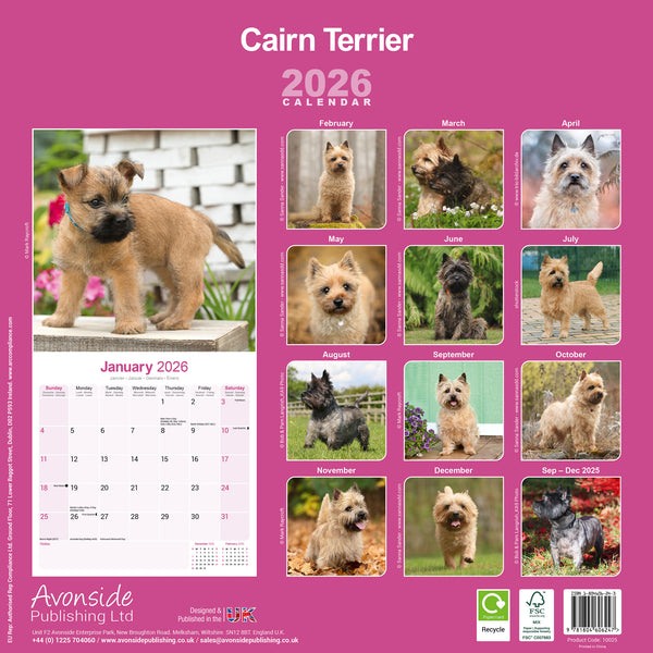 Cairn Terrier Kalender 2026