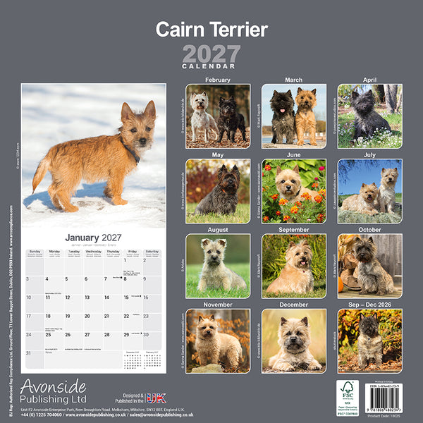 Cairn Terrier Kalender 2027