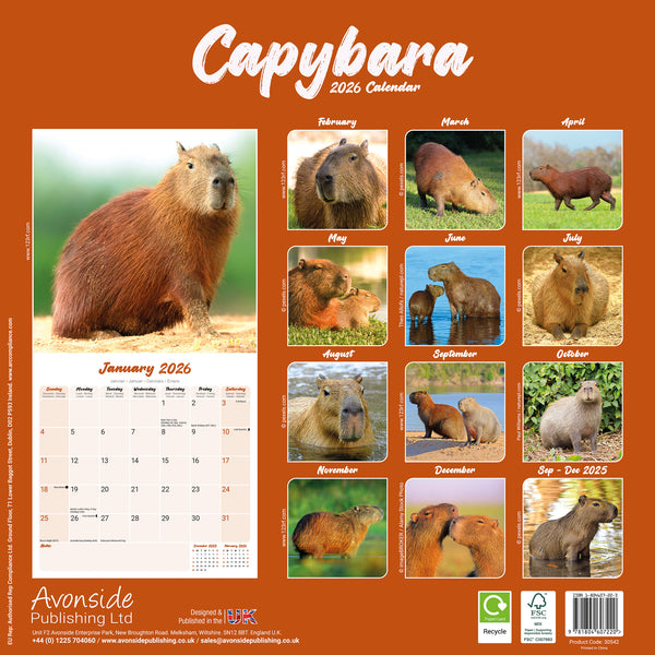 Capybara Kalender 2026