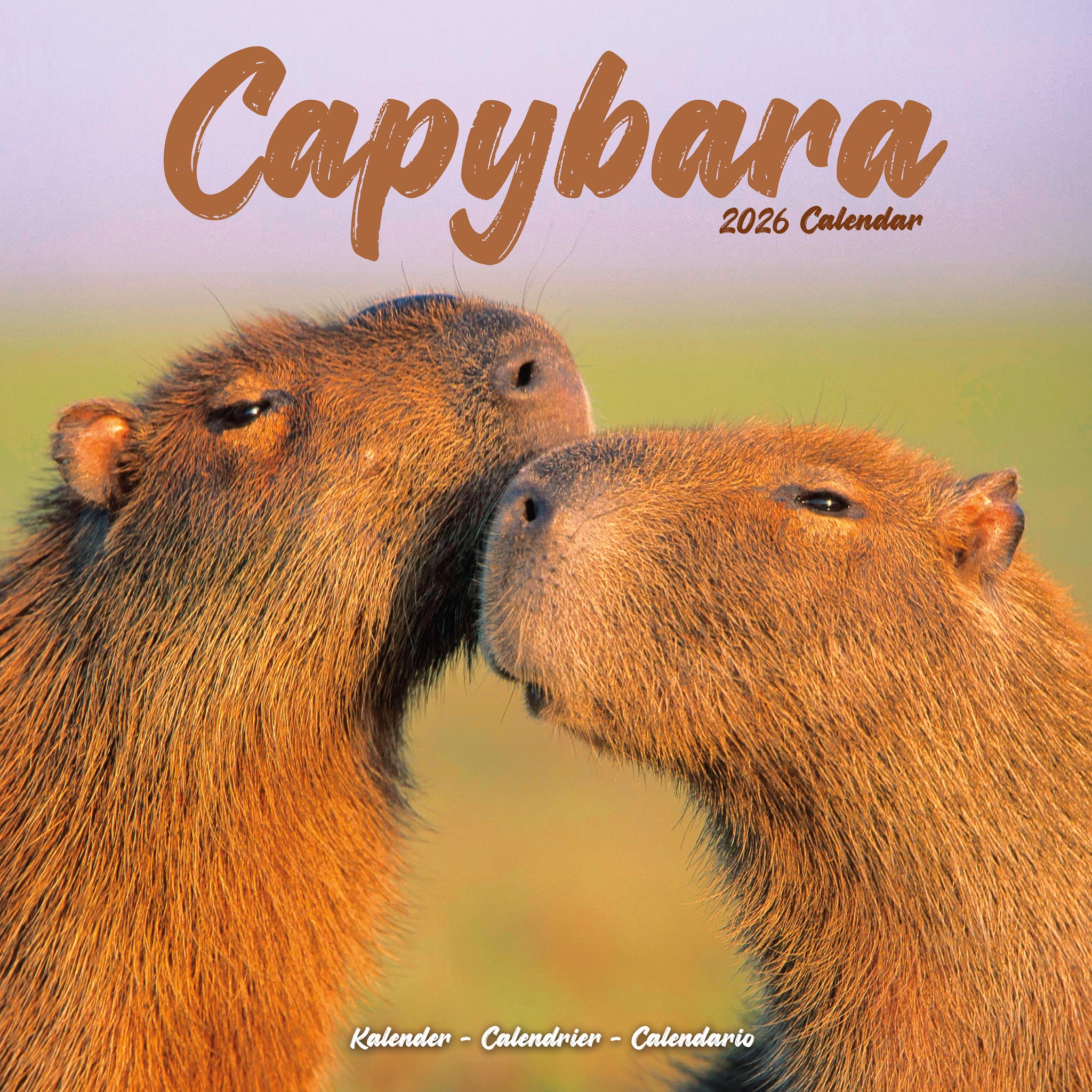 Capybara Kalender 2026