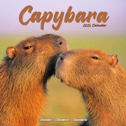 Capybara Kalender 2026