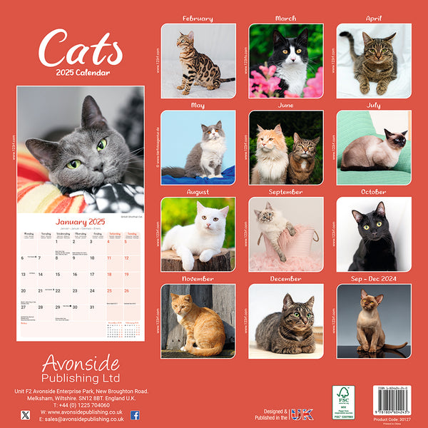 Cat Gallery Calendar 2025