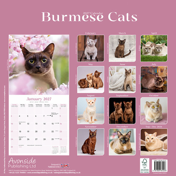 Burmese Cats Kalender 2027