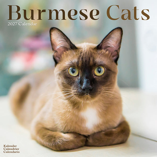 Burmese Cats Kalender 2027