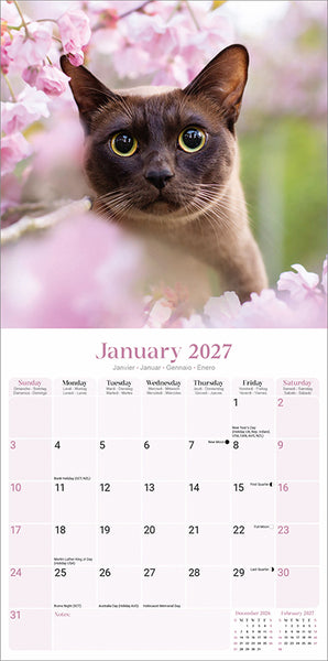 Burmese Cats Kalender 2027
