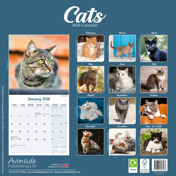 Cats Kalender 2026