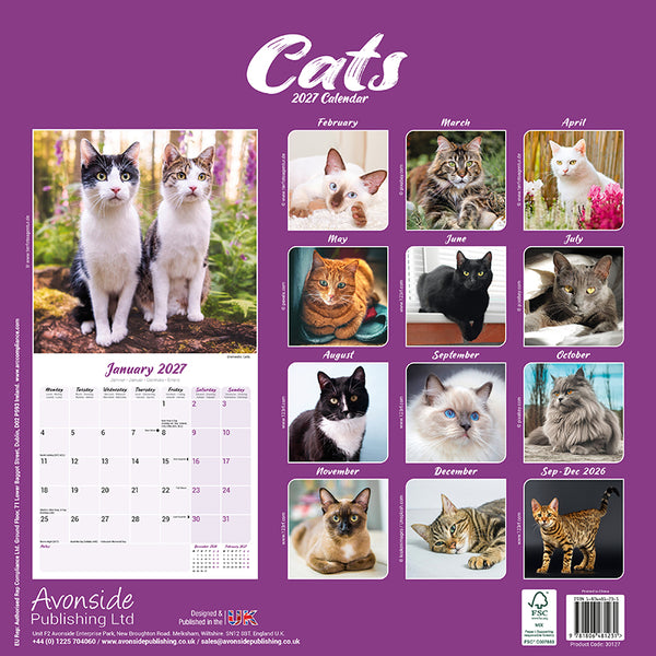 Cats Kalender 2027