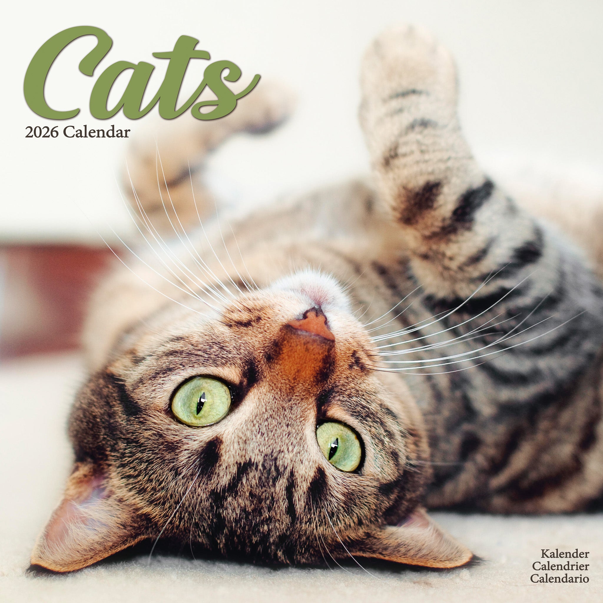 Cats Kalender 2026