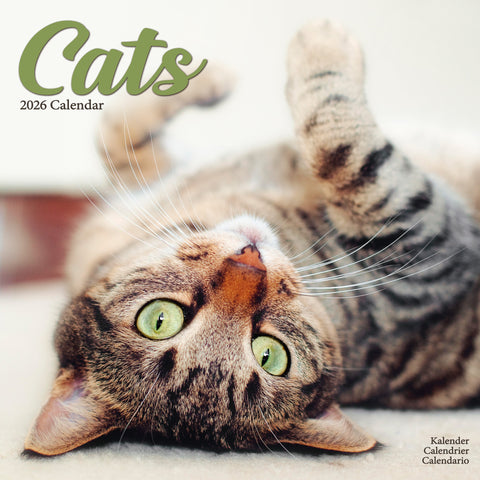 Cats Kalender 2026