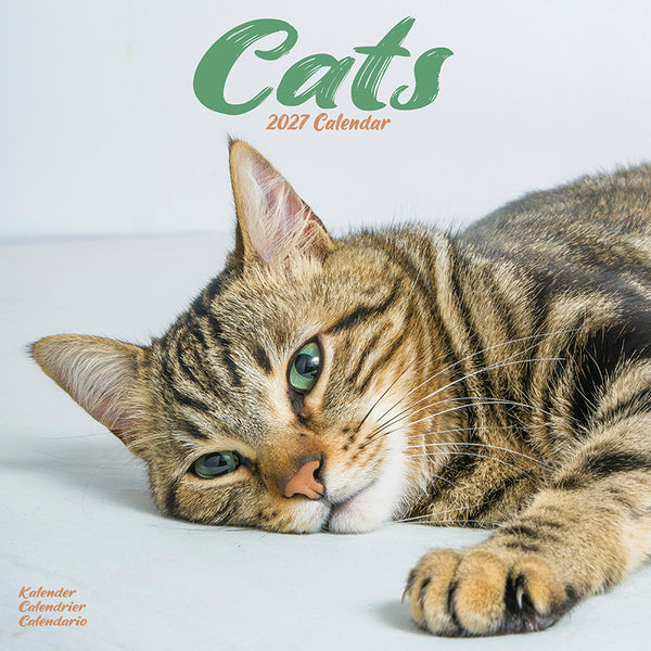 Cats Kalender 2027
