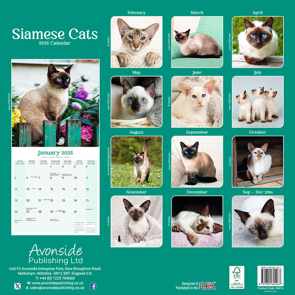 Siamese Cats Kalender 2025 De Kalenderman