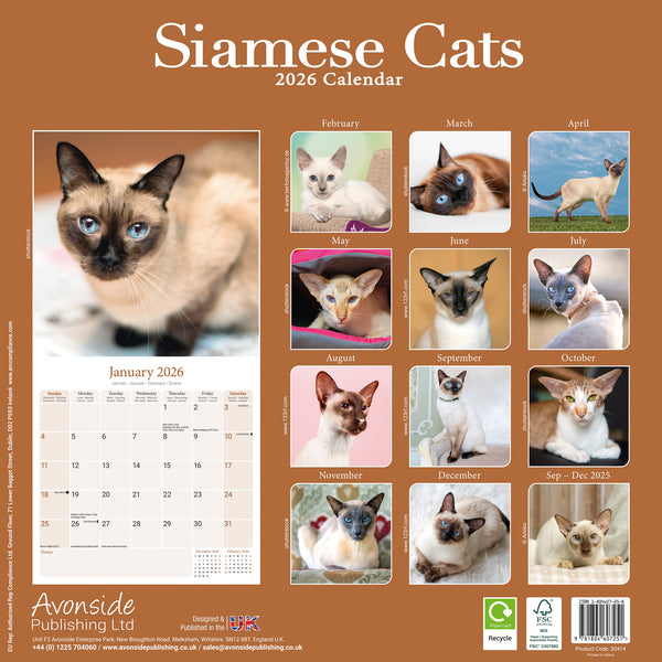 Siamese Cats Kalender 2026