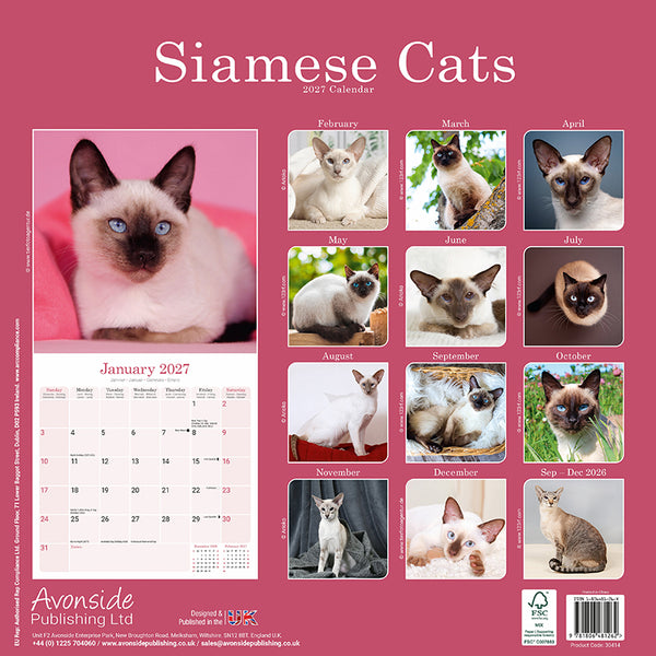 Siamese Cats Kalender 2027