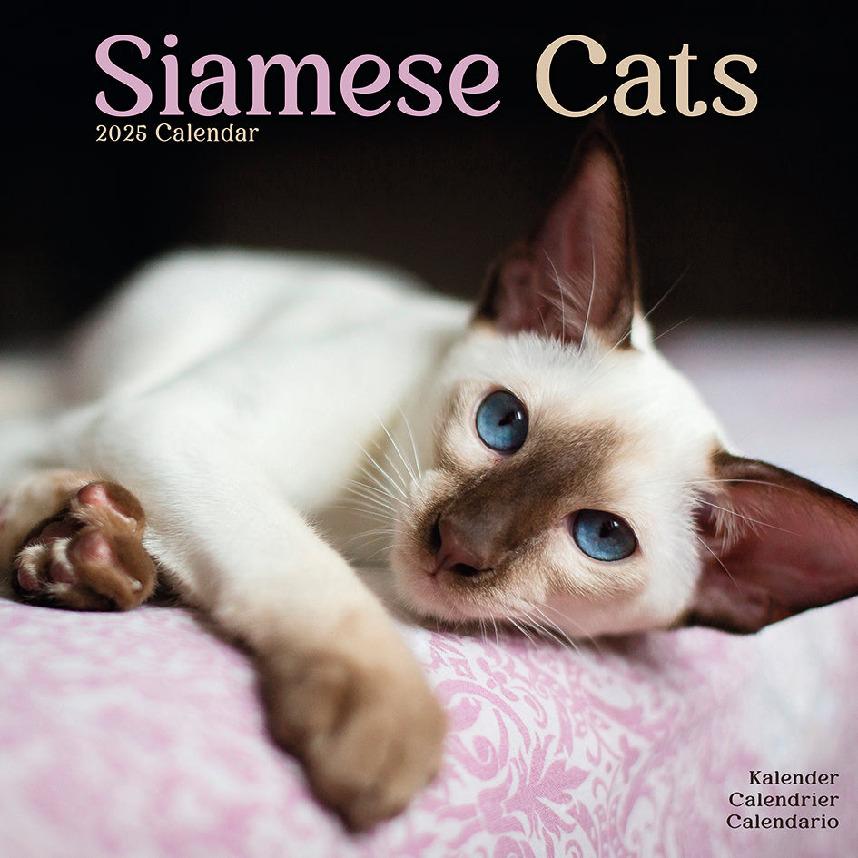 Siamese Cats Kalender 2025 De Kalenderman