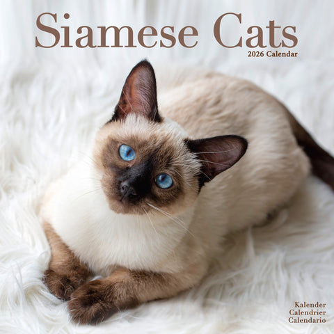 Siamese Cats Kalender 2026