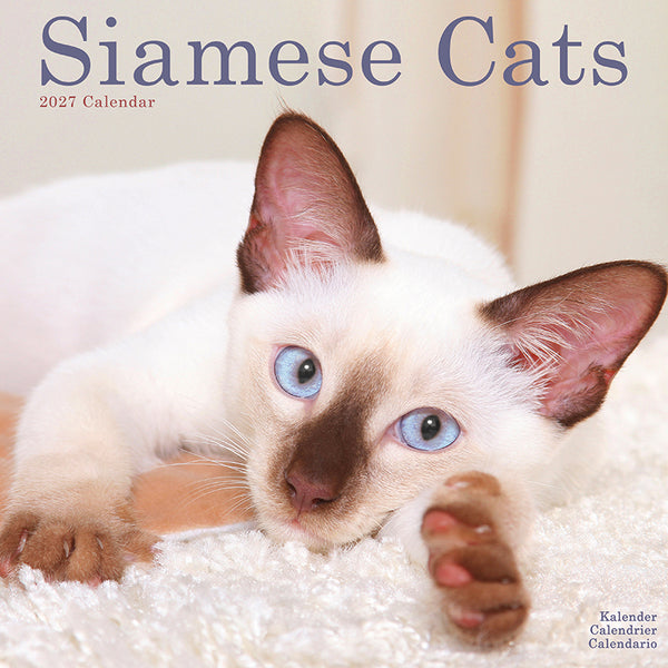 Siamese Cats Kalender 2027