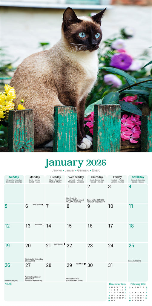 Siamese Cats Kalender 2025 De Kalenderman
