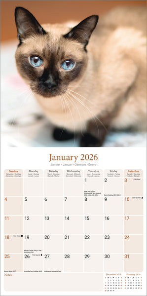 Siamese Cats Kalender 2026