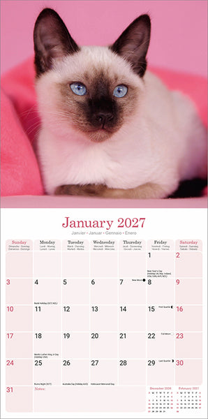 Siamese Cats Kalender 2027