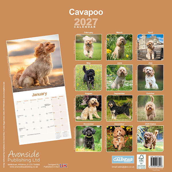 Cavapoo Kalender 2027