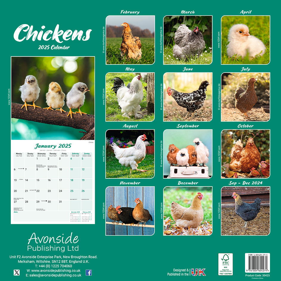 Chickens Kalender 2025 De Kalenderman