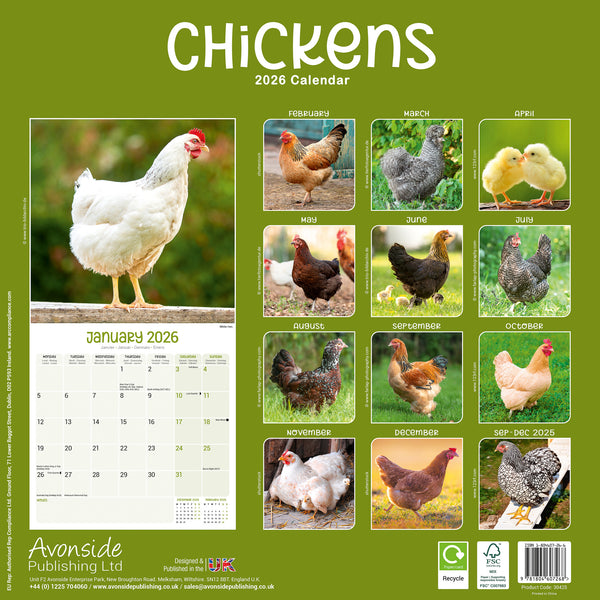 Chickens Kalender 2026