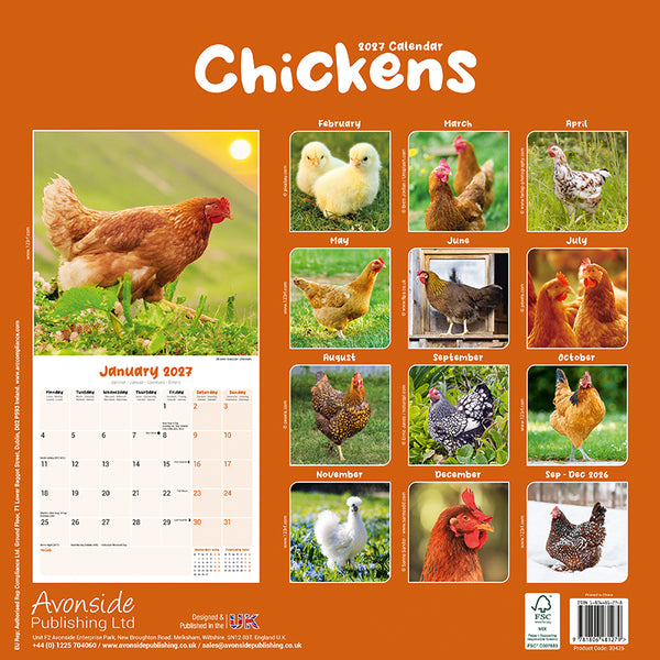 Chickens Kalender 2027