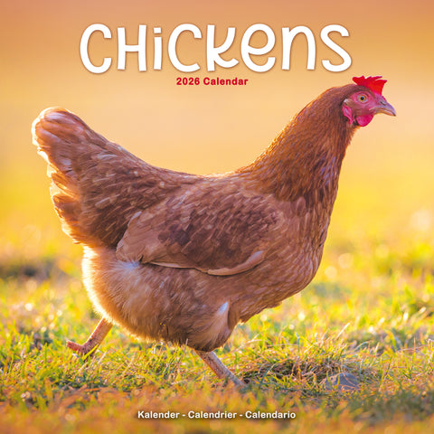 Chickens Kalender 2026