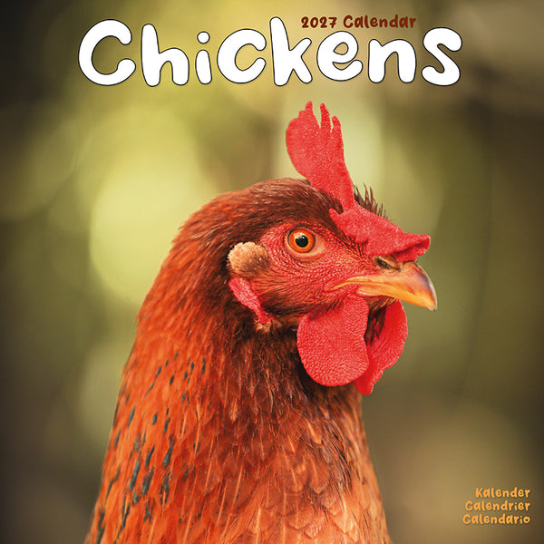 Chickens Kalender 2027