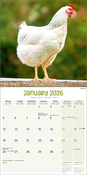 Chickens Kalender 2026