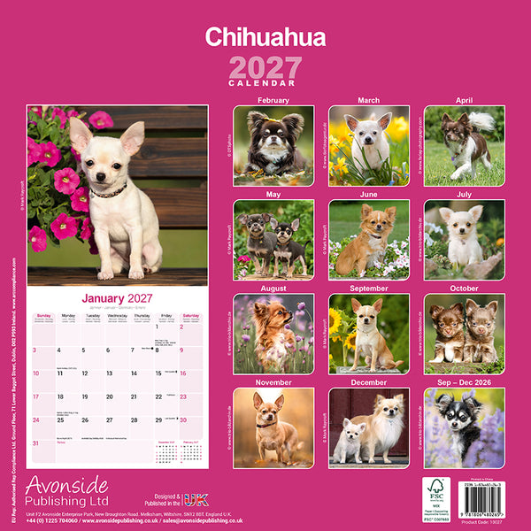 Chihuahua Kalender 2027
