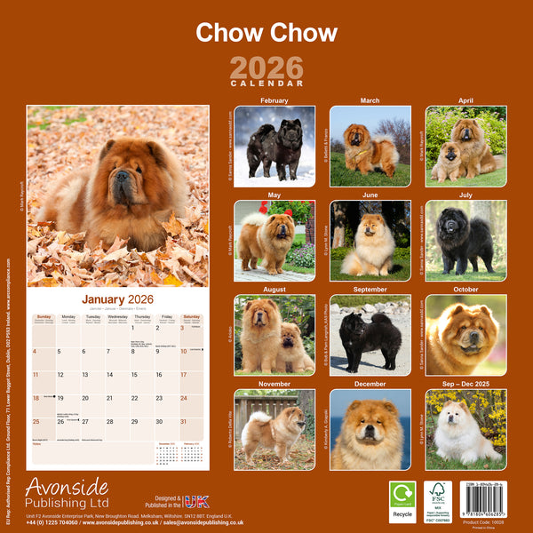 Chow Chow Kalender 2026