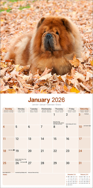 Chow Chow Kalender 2026