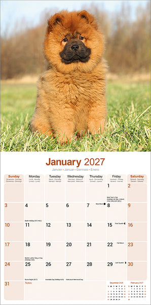 Chow Chow Kalender 2027