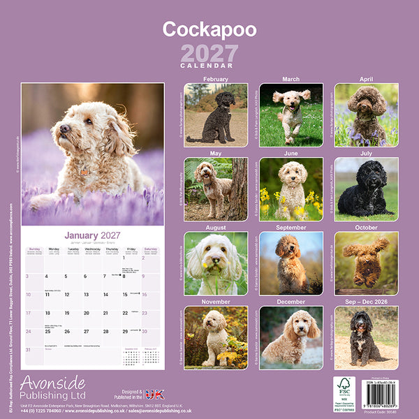 Cockapoo Kalender 2027