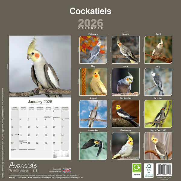 Cockatiels Kalender 2026