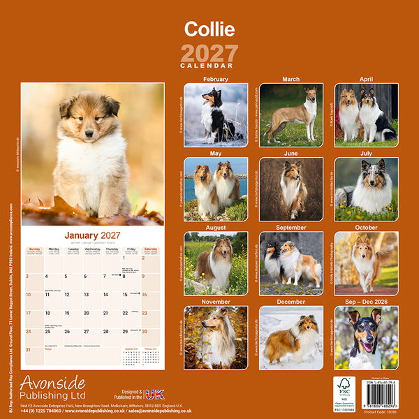 Collie Kalender 2027