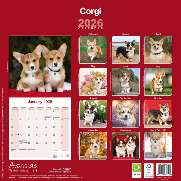 Corgi Kalender 2026