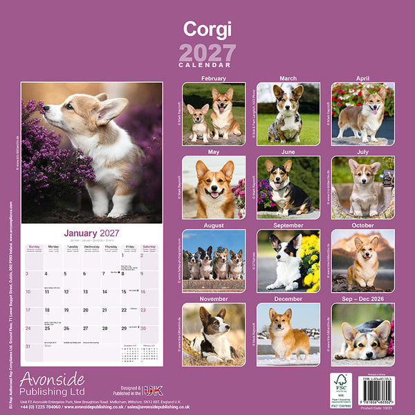 Corgi Kalender 2027