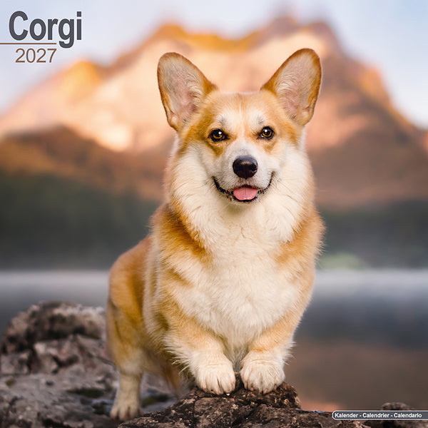 Corgi Kalender 2027