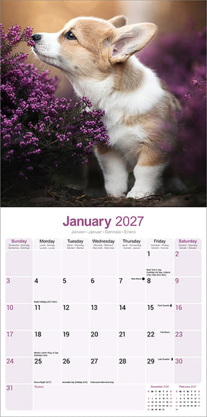 Corgi Kalender 2027