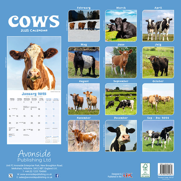Cows Kalender 2025 De Kalenderman Kalender 2025 Vegan