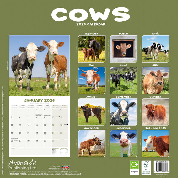 Cows Kalender 2026
