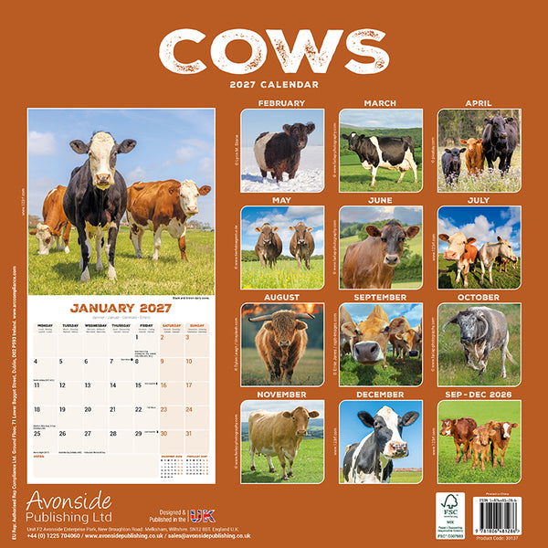 Cows Kalender 2027