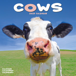 Cows Kalender 2026