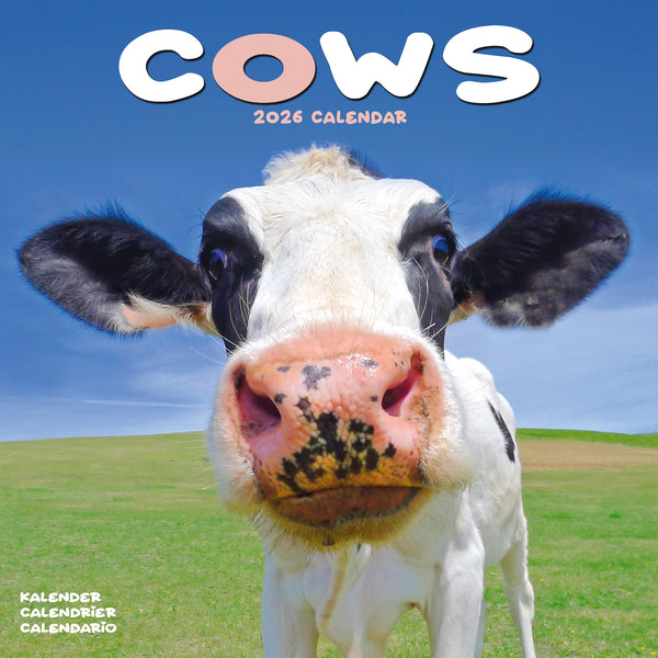 Cows Kalender 2026