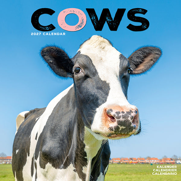 Cows Kalender 2027