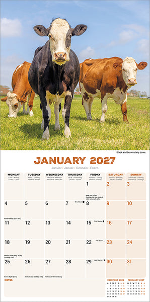 Cows Kalender 2027