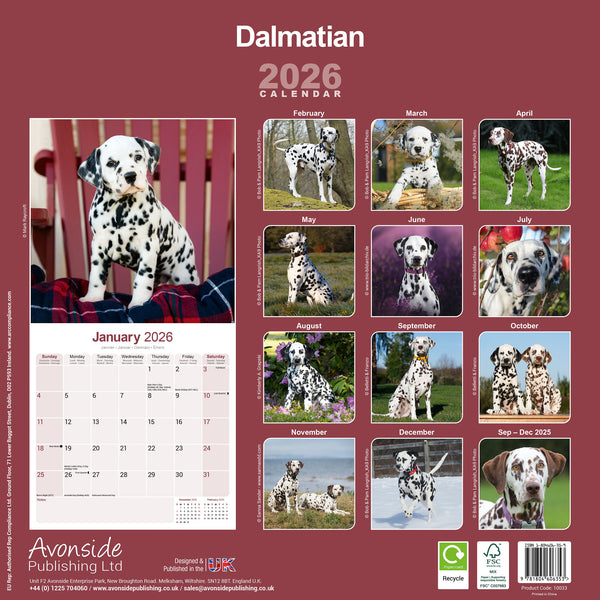 Dalmatian Kalender 2026