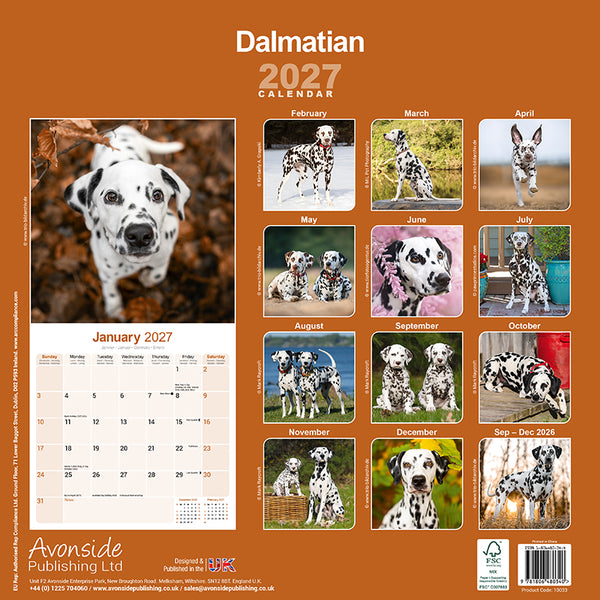 Dalmatian Kalender 2027